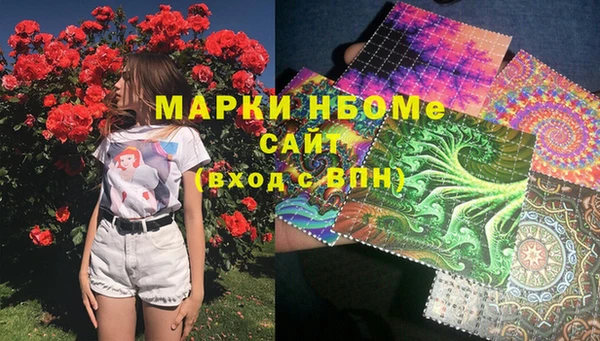 ECSTASY Алзамай